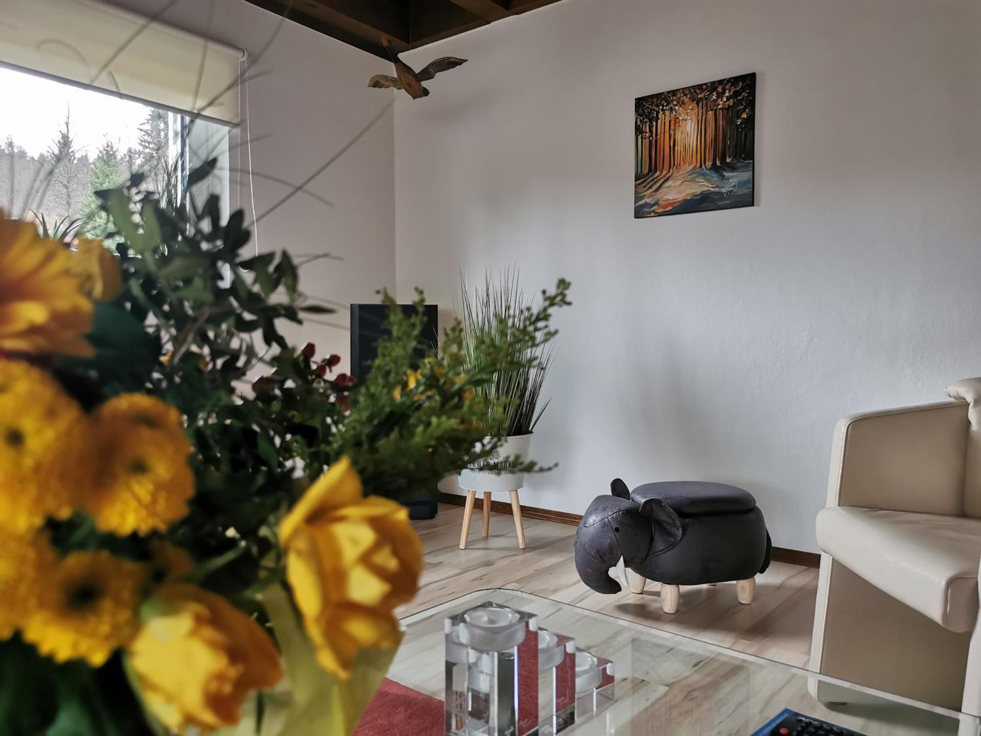 Ferienhaus Aanthuus Brilon Extérieur photo