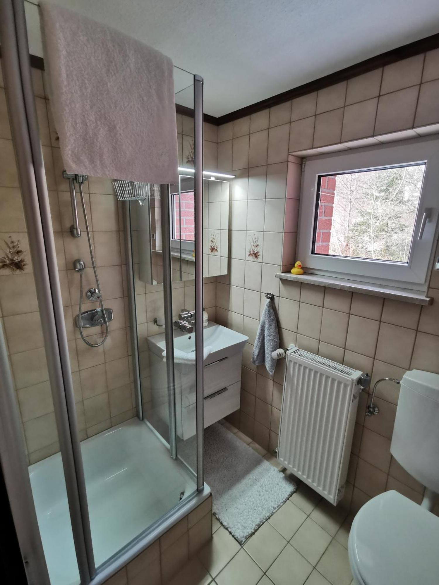 Ferienhaus Aanthuus Brilon Extérieur photo